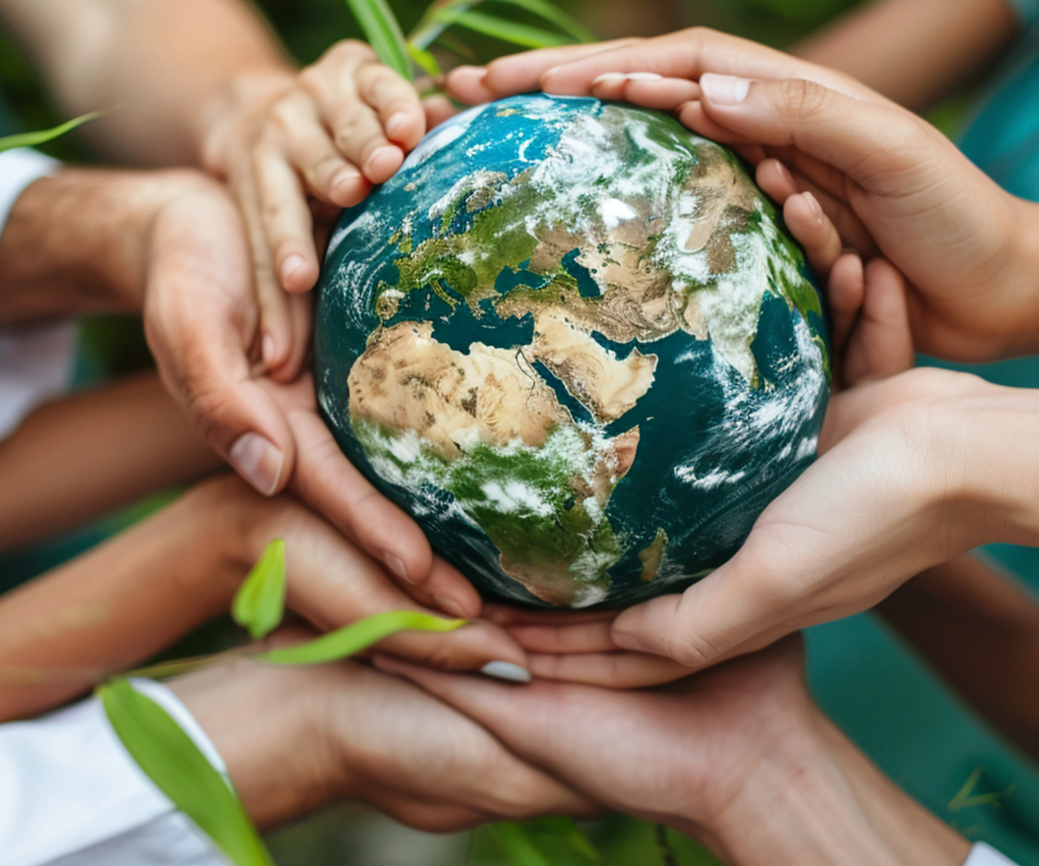 Journée mondiale de l'Environnement en entreprise